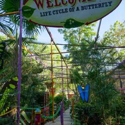 Schmetterlingshalle, fast wie im Papiliorama 😉