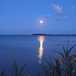 Full moon in the morning