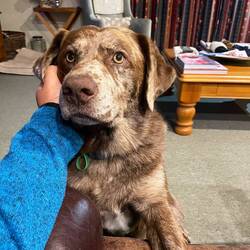 Kuschelzeit am Abend