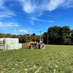 Fiat Trecker auf der Farm