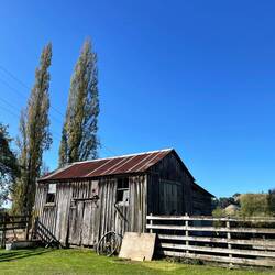 Eine uralte Scheune auf der Farm, zumindest für neuseeländische Verhältnisse