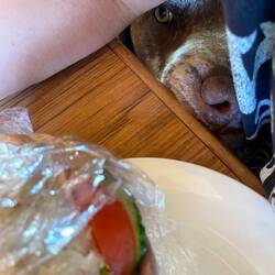 Murphy will was abhaben
