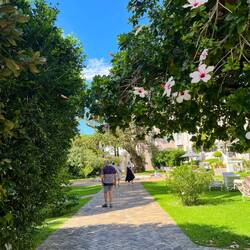 The gardens