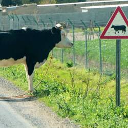 Kuck mal, da bin ja ich auf dem Schild