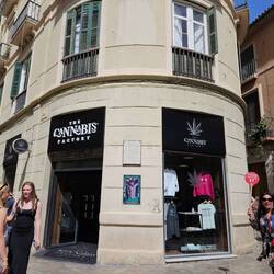 Lots of cannabis shops around