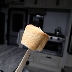 Nachm znacht hed de erich no es füürli gmacht ond mer es marshmallow brötled 🤩