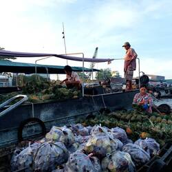 In den frühen Morgenstunden zu Besuch beim Floating Market im Mekong Delta 🛶🍍