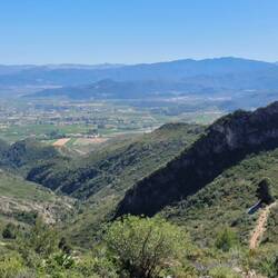 Great view over orange groves and the tracks we'd just walked