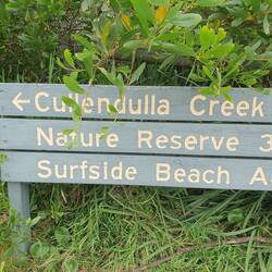 Batemans mangrove walk