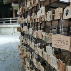 Glückwünsche im Meiji-jo