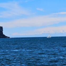 Takes you out of the Harbor to the Tasman Sea
