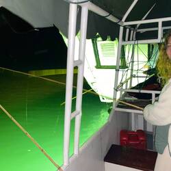 Pêche aux encornets