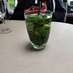 Zum aufwärmen einen frischen Tee, Minze wächst direkt am Stellplatz