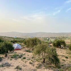 unser heutiger Zeltplatz oberhalb von Buseirah