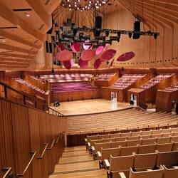 Petals floating are to assist with acoustics since ceiling is a bit too high.