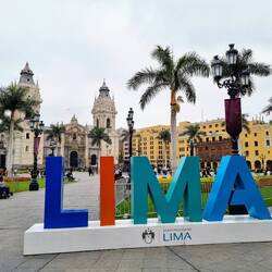 Plaza Mayor 🌴