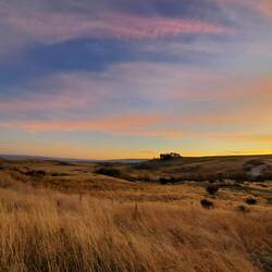 Die steppenhafte Landschaft Otagos