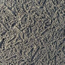 Tausende Mini Krebse am Strand