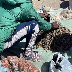 WORMS- to be eaten later! REALLY!