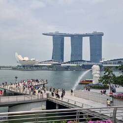 Luxushotel und Merlion