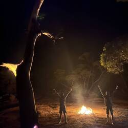 The tree that caught on fire 😳