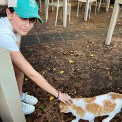 Seriously investigated the process of bringing a cat home with us.