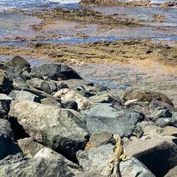 This guy screamed across a grassy area nearly running right over Noel's feet. 😯