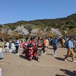 Maruyama koen, le monde et les kimono