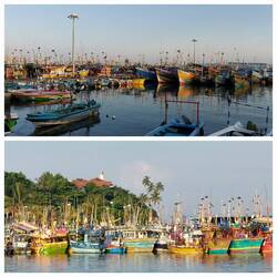 Mirissa harbour