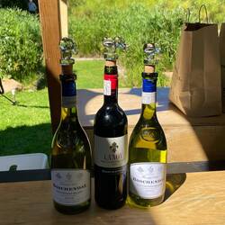 We will start with these (note: glass stoppers we received as a gift)