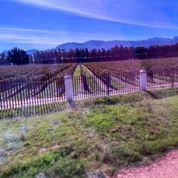 Finally Out of the City