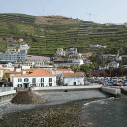 Câmara de Lobos and banana plantations