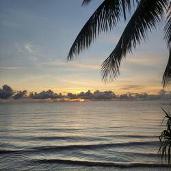 Lever de soleil sur la route 🤩