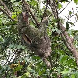 Das wär iz äbe dä, gsichtet eifach so bim Verbigang😅😉