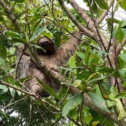 Schono härzig winer lächlet🦥