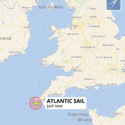 Hier steckt unser Willi noch.