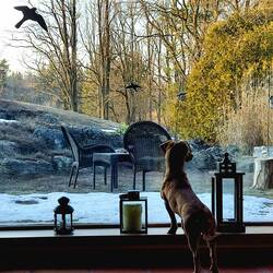 Emma genießt die Aussicht in unserer Unterkunft.