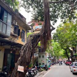 Eindrücke der Altstadt