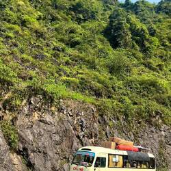 Ya des poules sur le toit oui oui