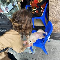 Der guckte mich so süss an, da musste ich einfach...