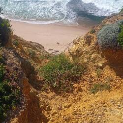 Blick runter zum Strand