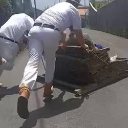 Footage of a random family, courtesy of Bek