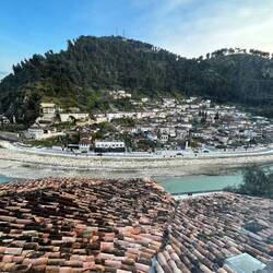 So wie Alice es sich vorgestellt hat