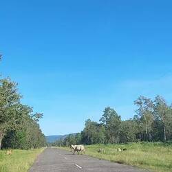 Rencontres sur le chemin 😅