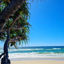 📍Byron Bay