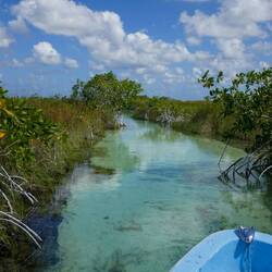 Glasklare Sicht bis auf den Grund 😍