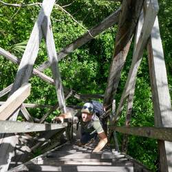 Mehr Leiter als Treppe 😬