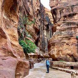 die wunderschöne Schlucht Al Siq