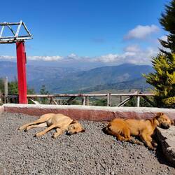 Relaxing back in the valley