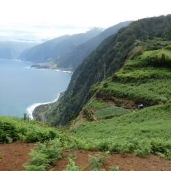 Ribeira da Janella, view along the north coast